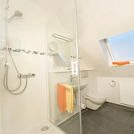 Bernstein تراسينهيد